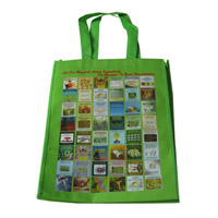 莱芜LB11覆膜无纺布广告袋